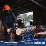اره زنجیری تیغه 30 سانت آاگ AEG مدل ACS18B30-0