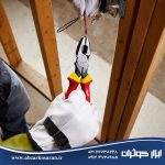 مجموعه 5 عددی ابزار دستی عایق 1000 ولت میلواکی Milwaukee مدل 48222215