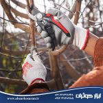قیچی باغبانی رونیکس Ronix مدل RH-3109